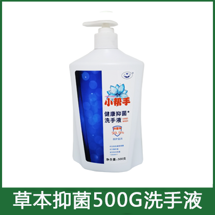 500g抑菌洗手液